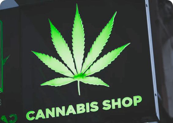About the brand